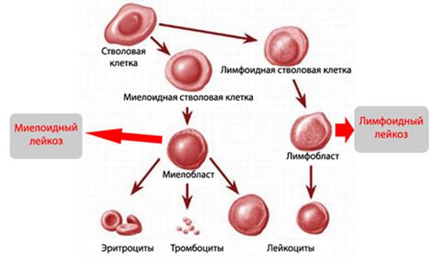 Кракен площадка kr2web in